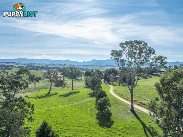 850 Mogilla Road CANDELO NSW 2550