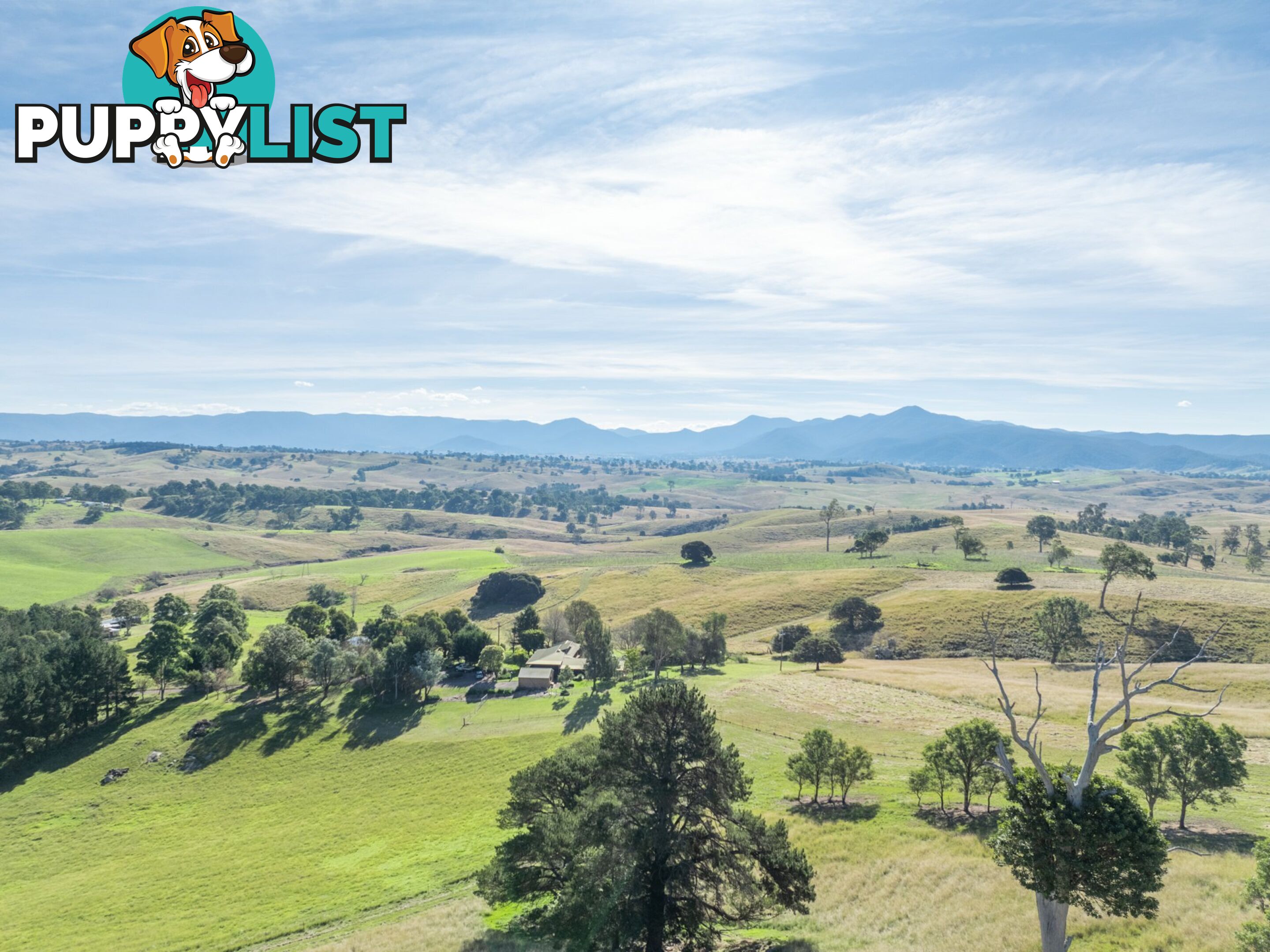 850 Mogilla Road CANDELO NSW 2550