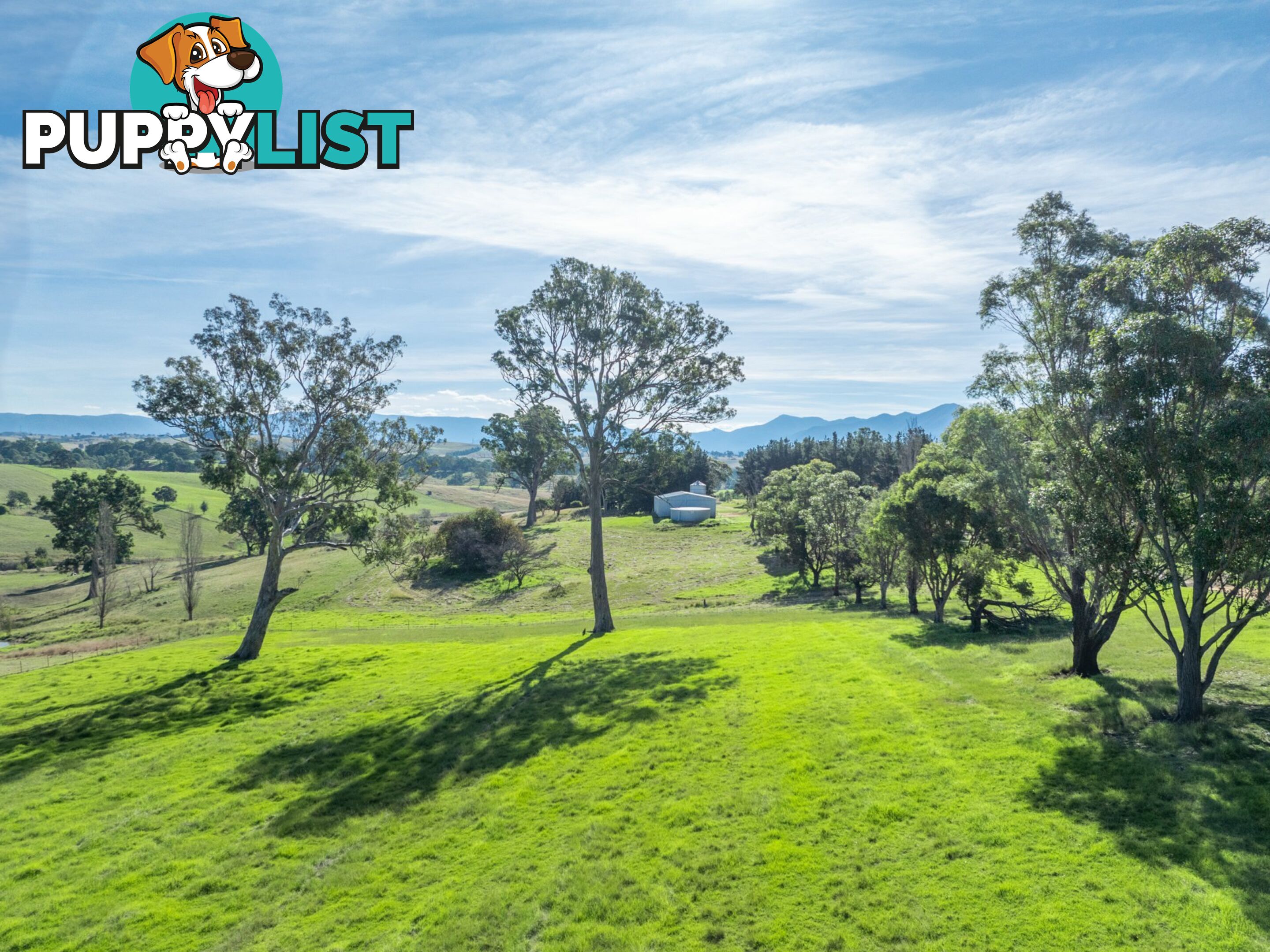 850 Mogilla Road CANDELO NSW 2550