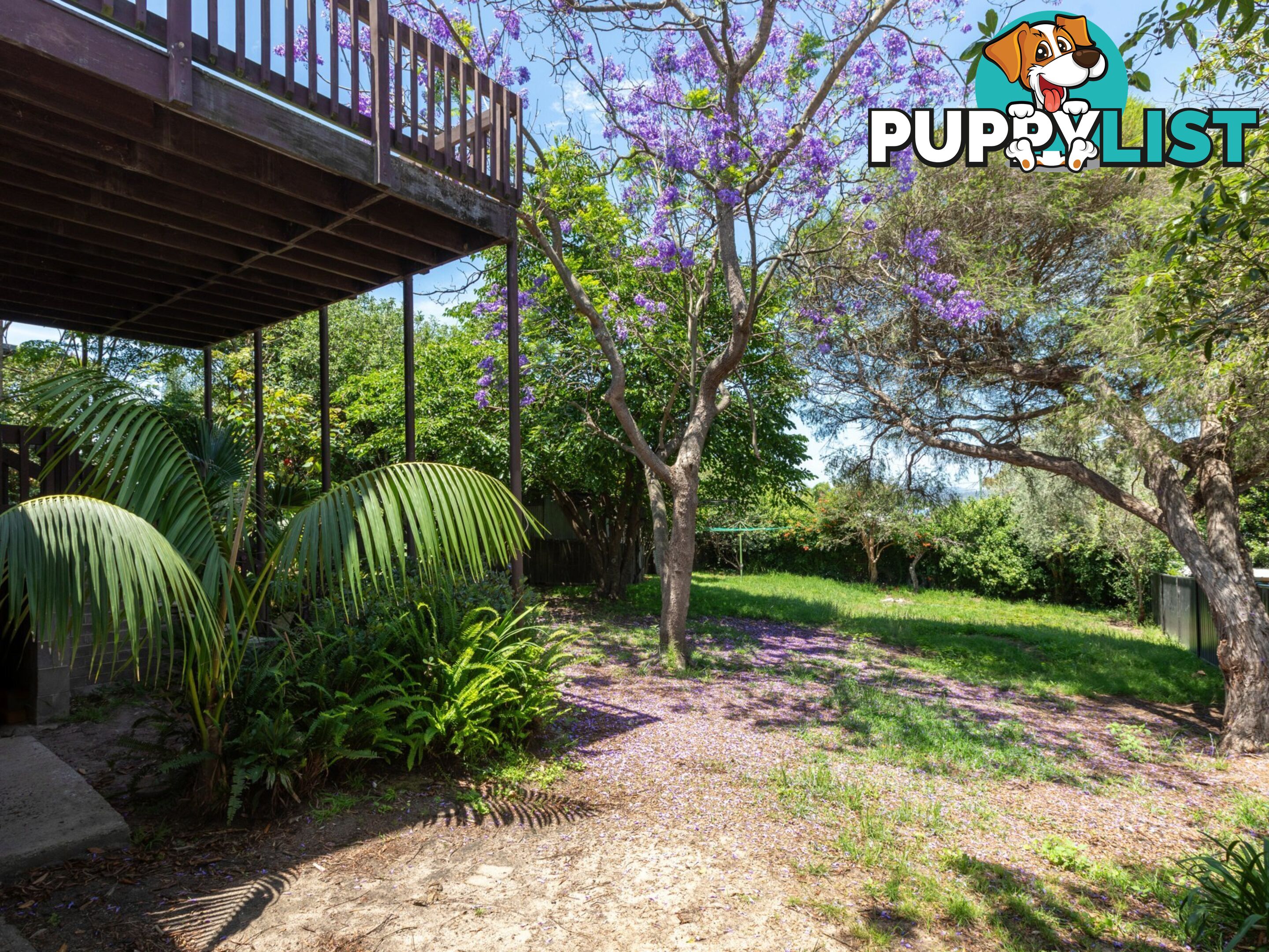 6 Brunker Street PAMBULA NSW 2549