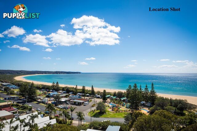 Lot 3 "Thompsons River Estate" TATHRA NSW 2550