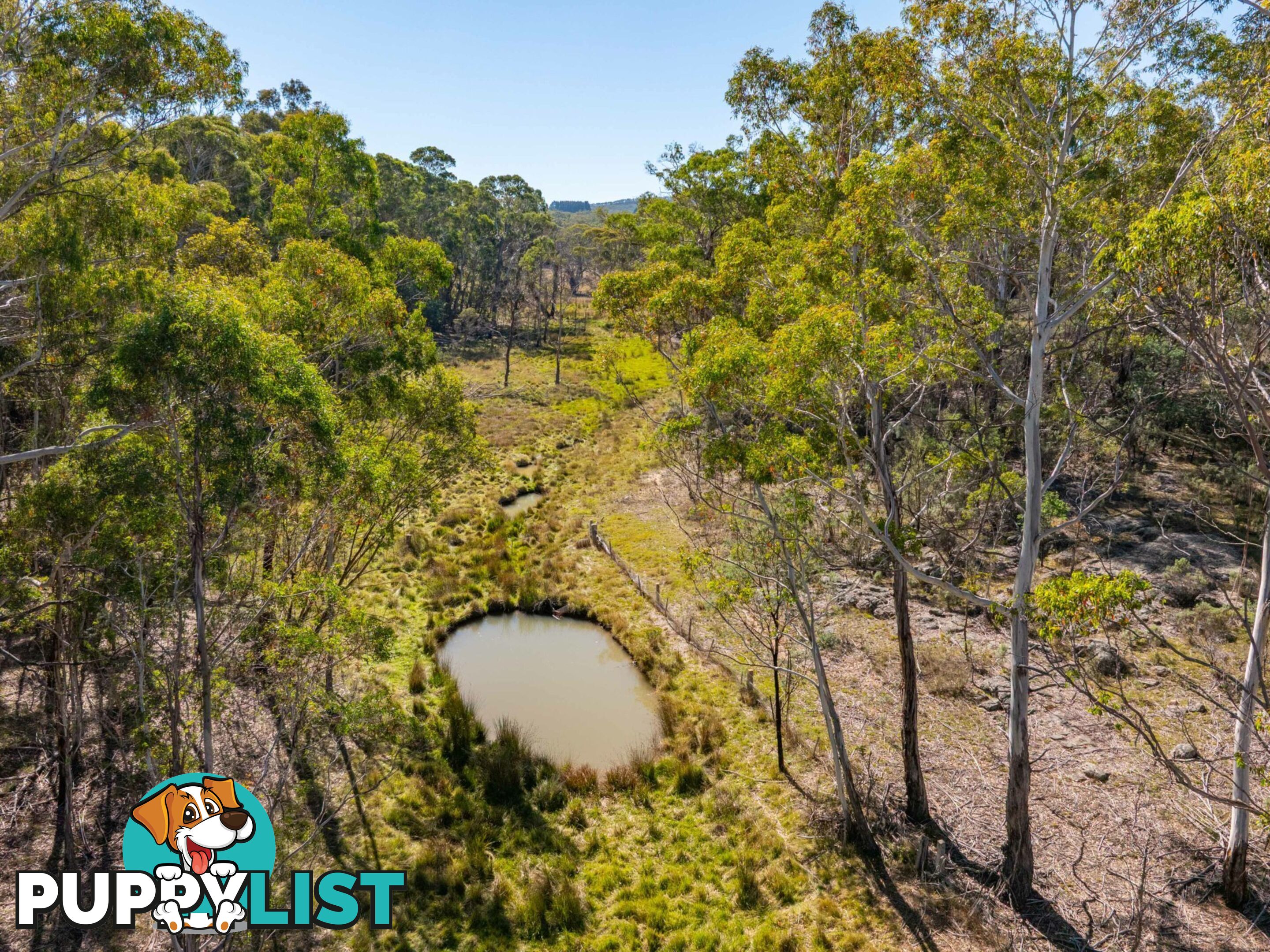 91 Rosehill Road BOMBALA NSW 2632
