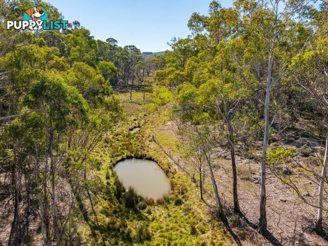 91 Rosehill Road BOMBALA NSW 2632