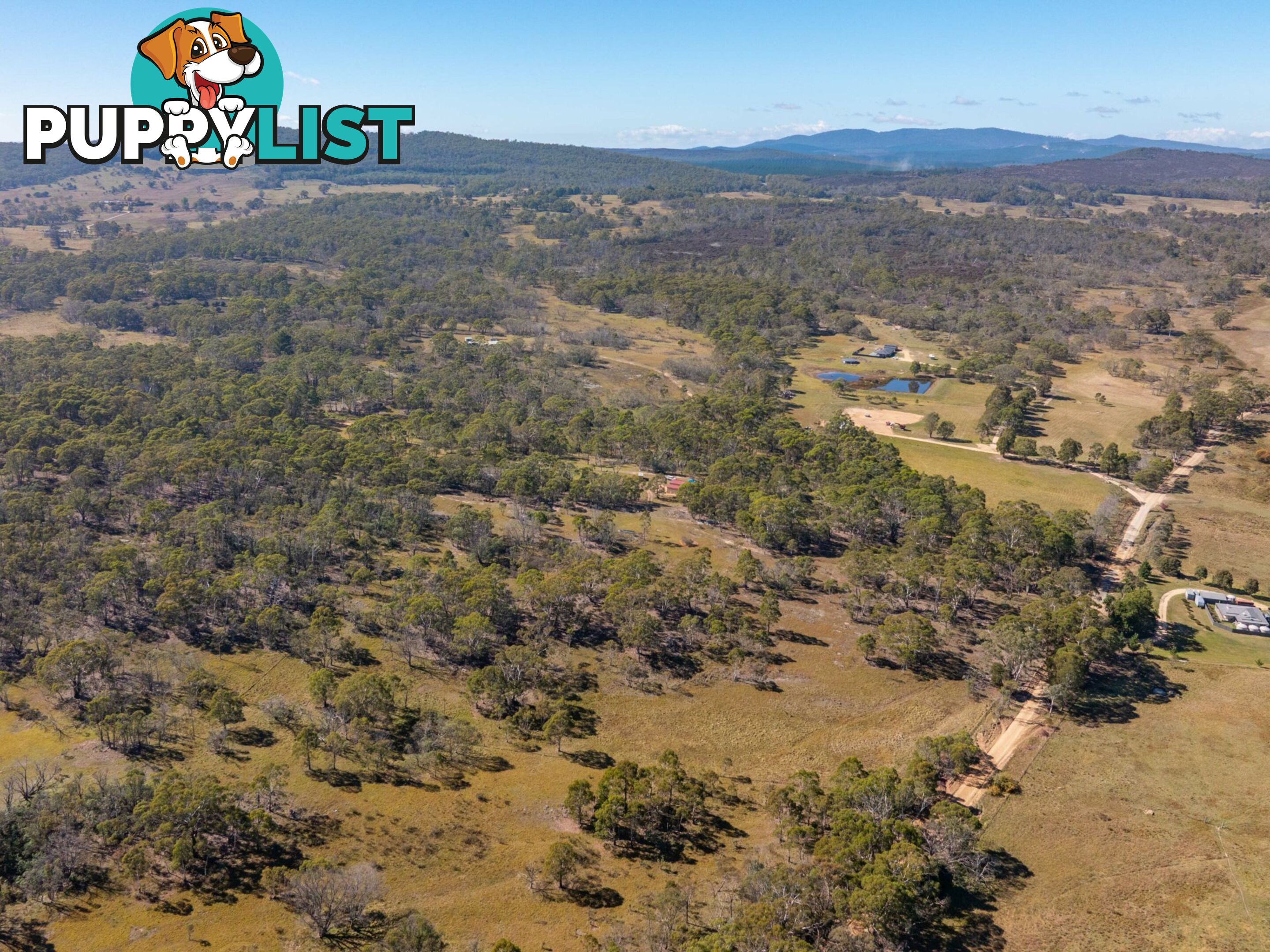 91 Rosehill Road BOMBALA NSW 2632