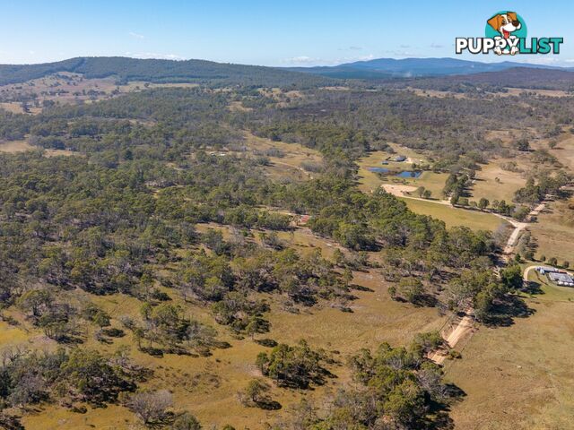 91 Rosehill Road BOMBALA NSW 2632