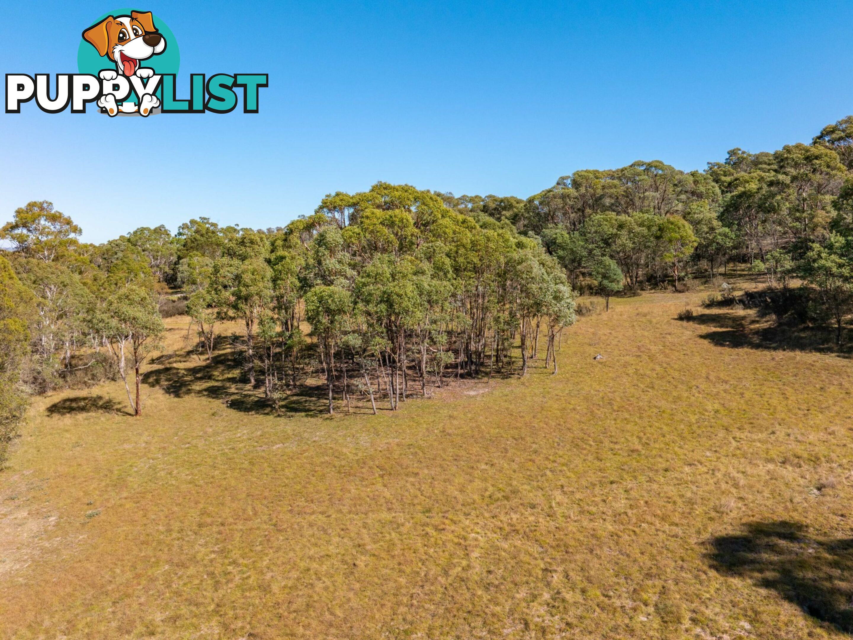 91 Rosehill Road BOMBALA NSW 2632
