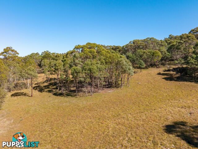 91 Rosehill Road BOMBALA NSW 2632