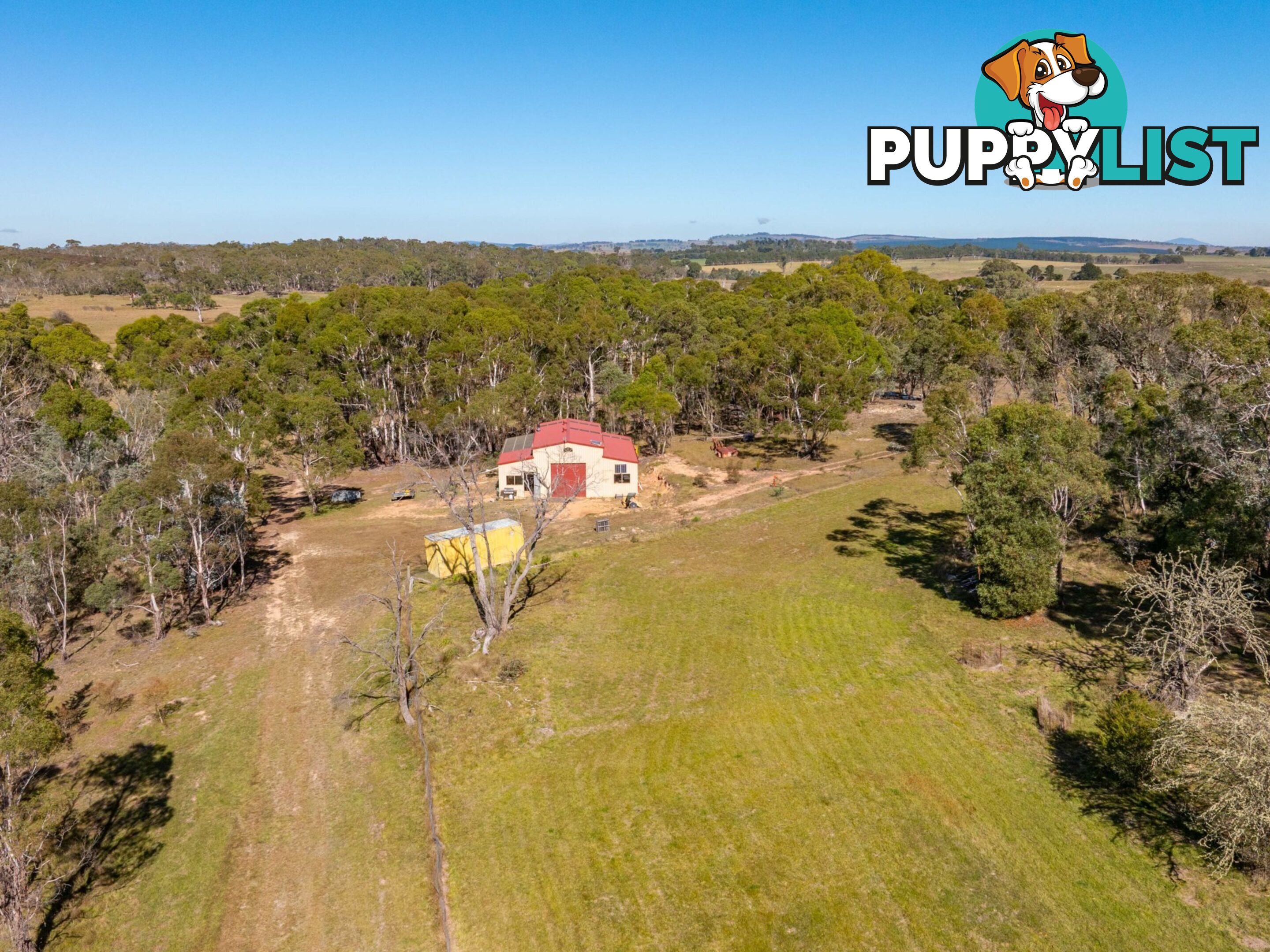 91 Rosehill Road BOMBALA NSW 2632