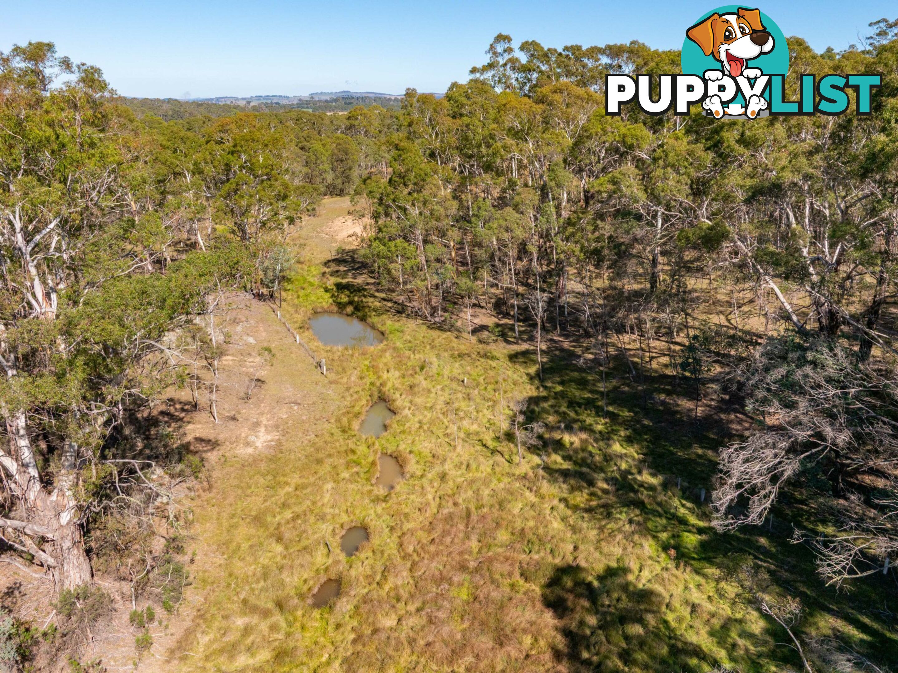 91 Rosehill Road BOMBALA NSW 2632