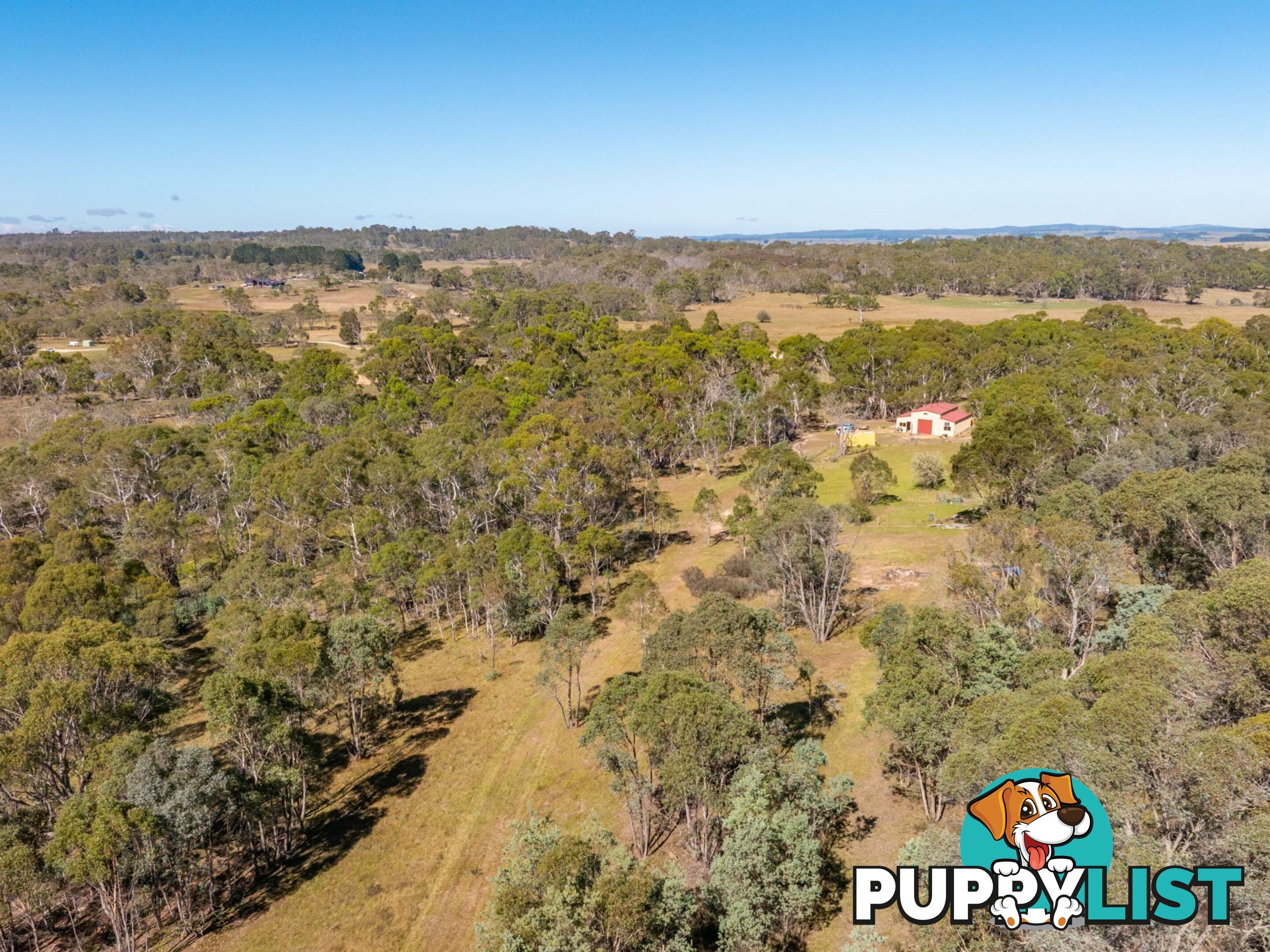 91 Rosehill Road BOMBALA NSW 2632