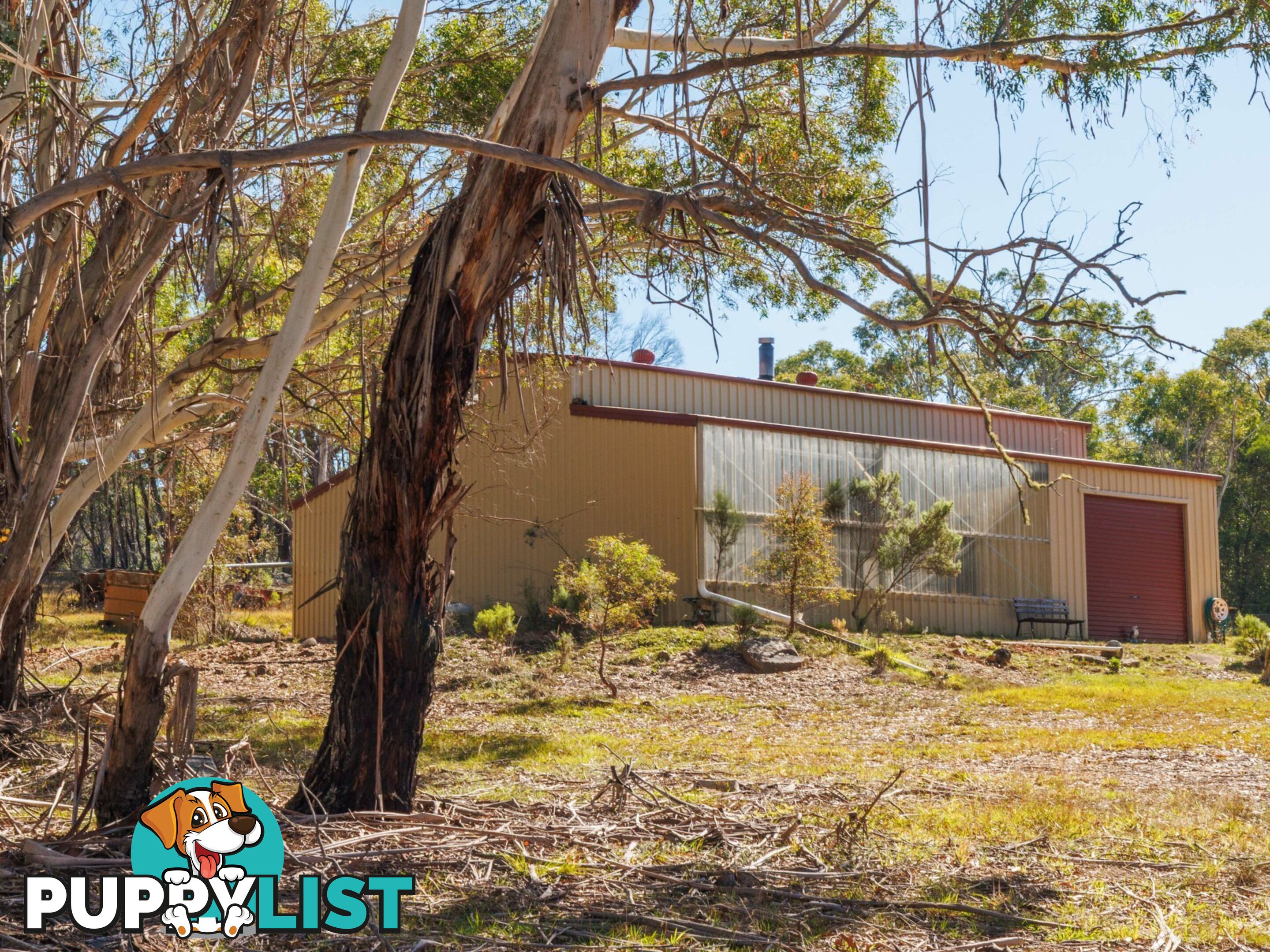 91 Rosehill Road BOMBALA NSW 2632