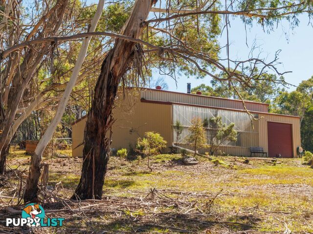 91 Rosehill Road BOMBALA NSW 2632