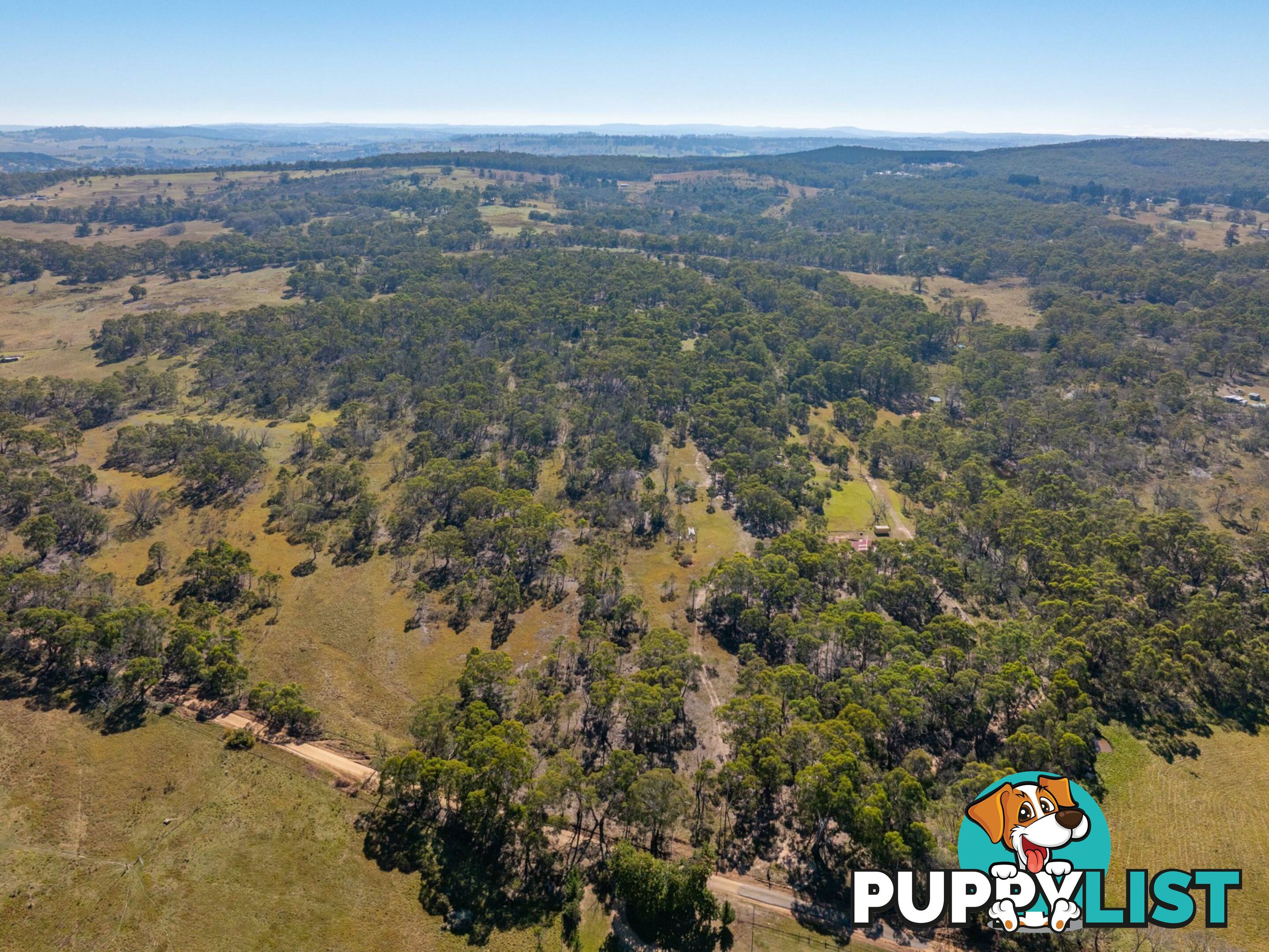 91 Rosehill Road BOMBALA NSW 2632