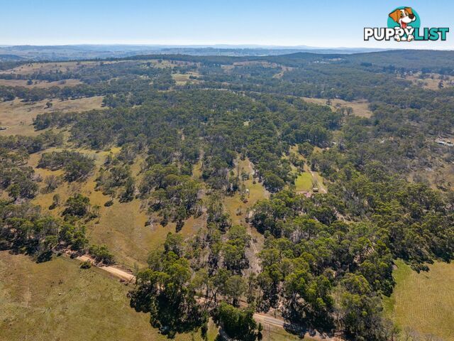 91 Rosehill Road BOMBALA NSW 2632