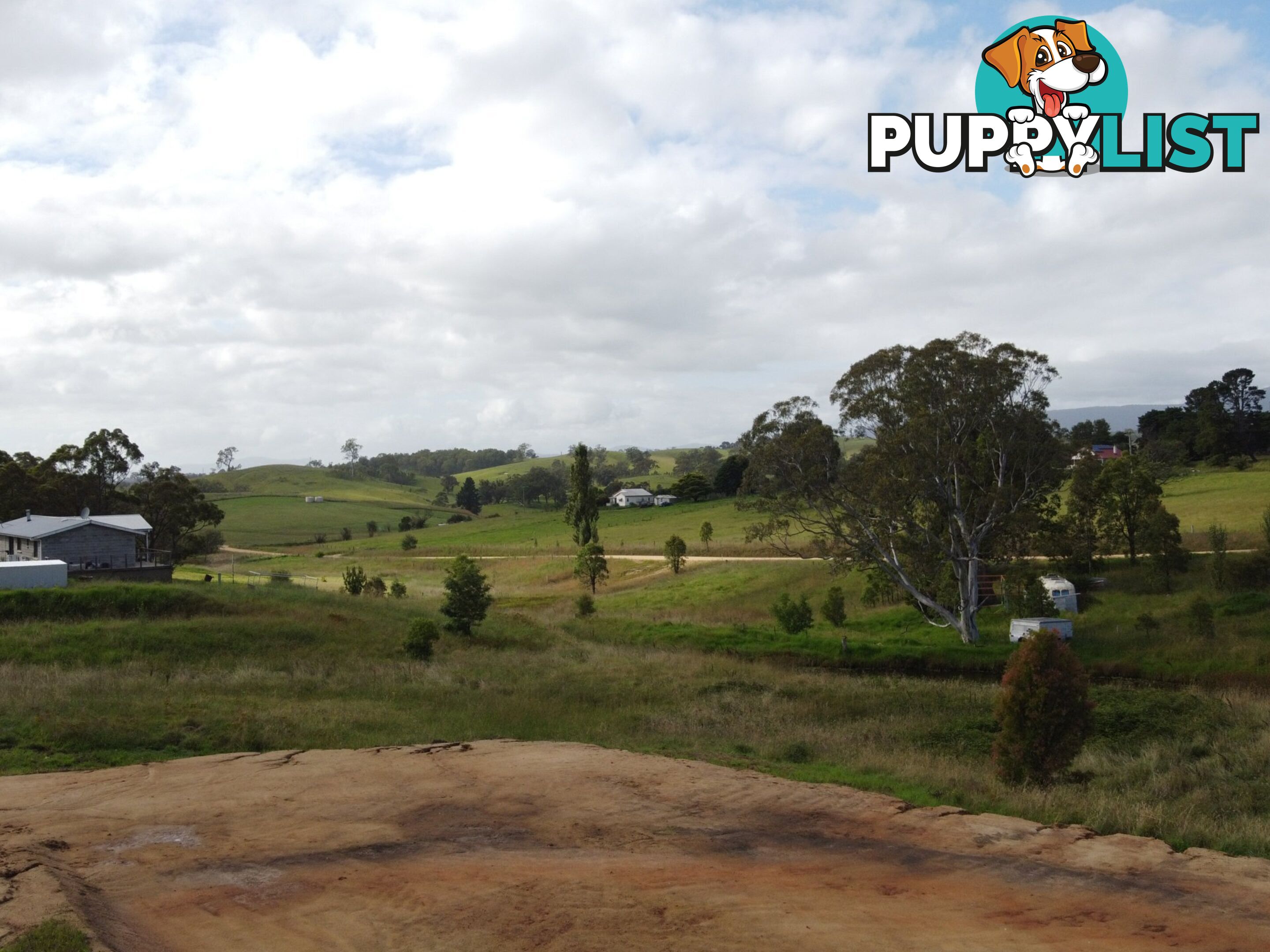 83-85 Kameruka Street BEMBOKA NSW 2550