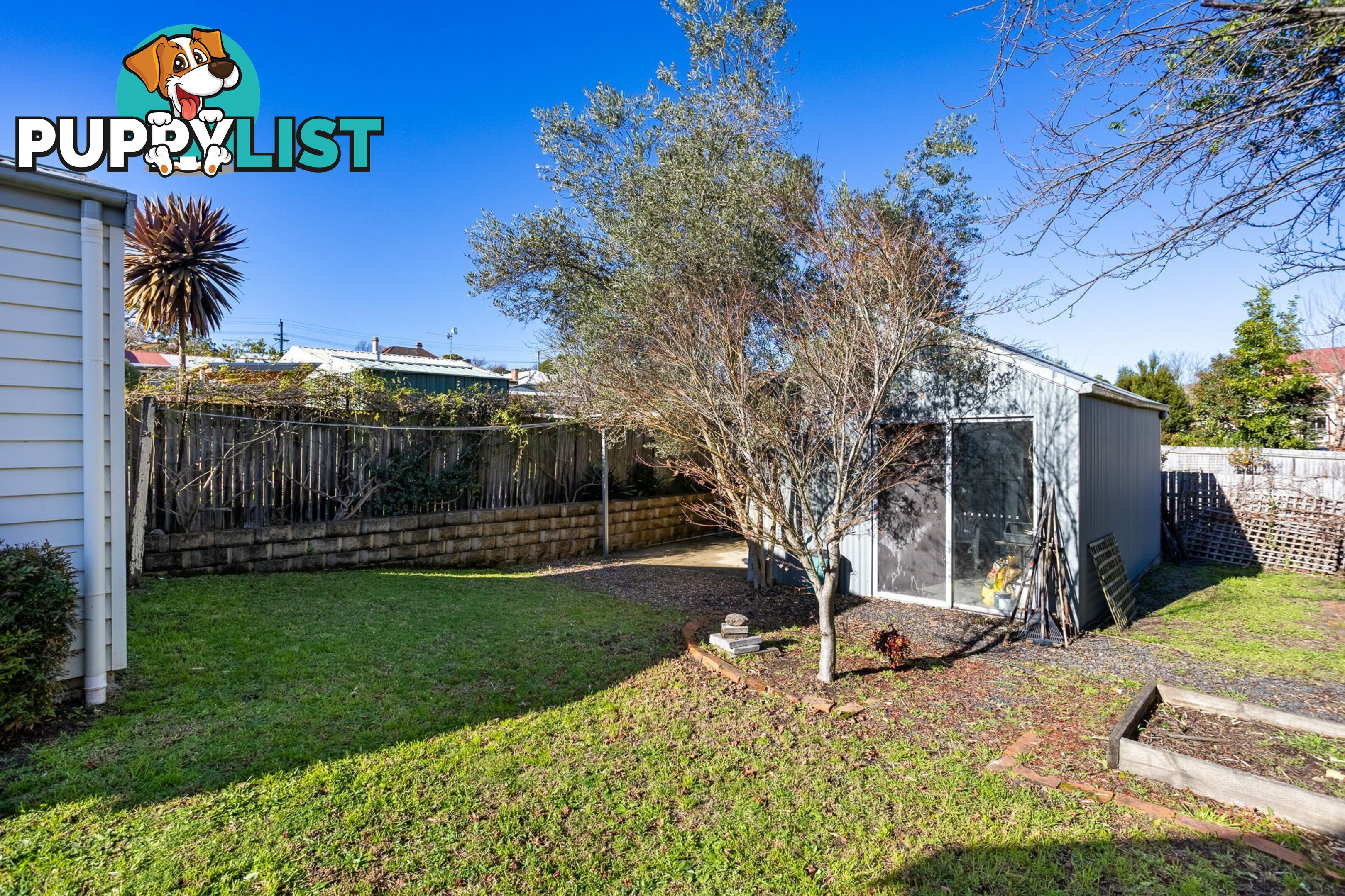 54 Bega Street BEGA NSW 2550