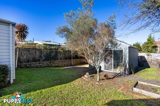 54 Bega Street BEGA NSW 2550