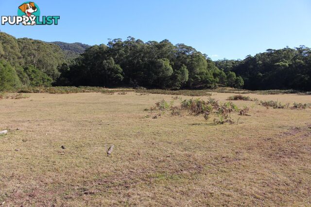 1844 Upper Brogo Rd BROGO NSW 2550