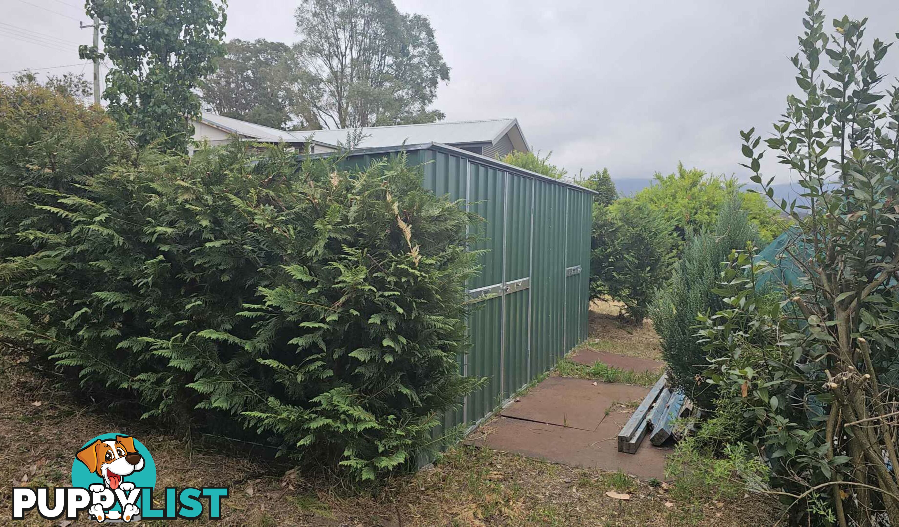 52 Robertson Street BEMBOKA NSW 2550