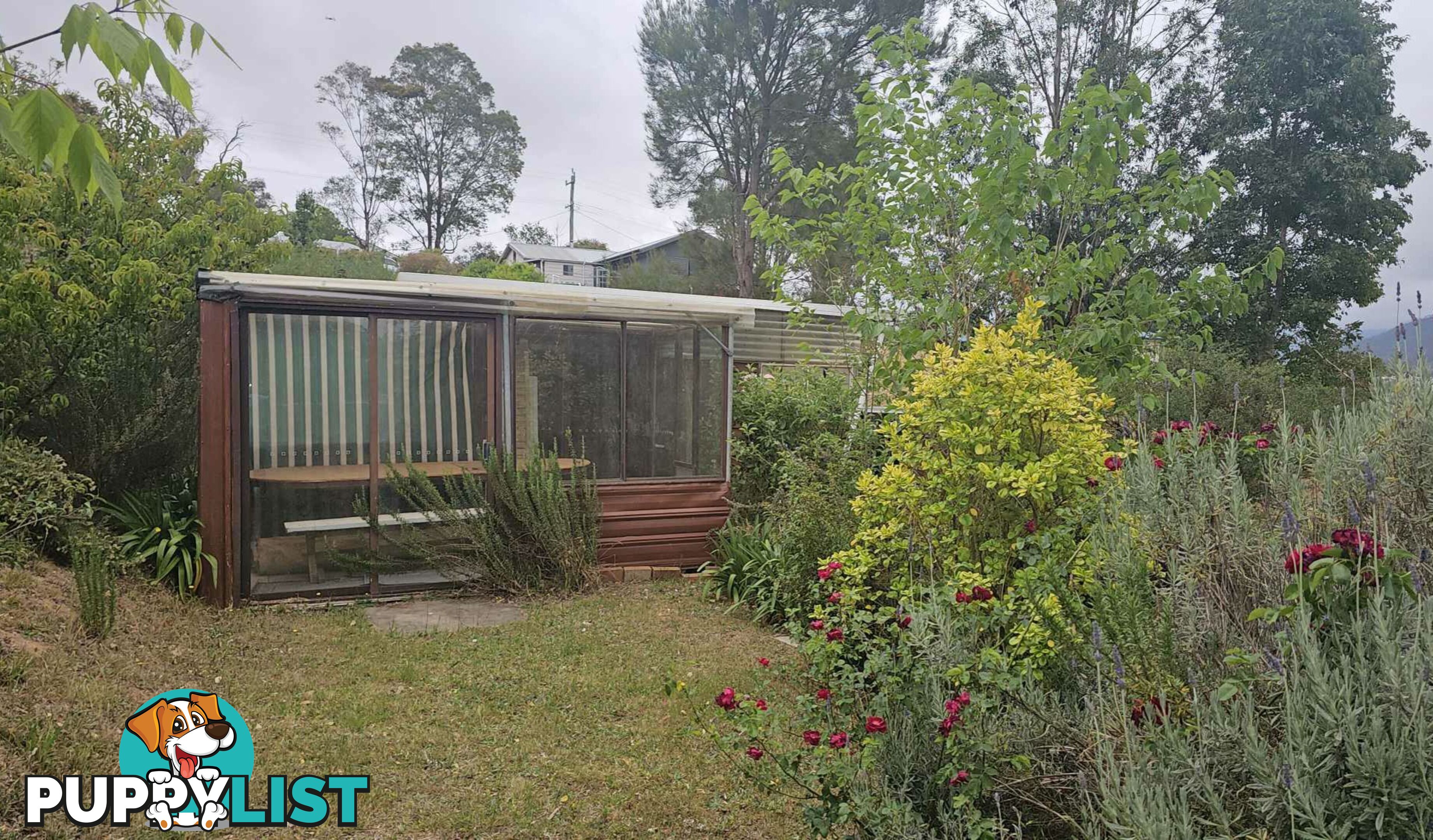 52 Robertson Street BEMBOKA NSW 2550