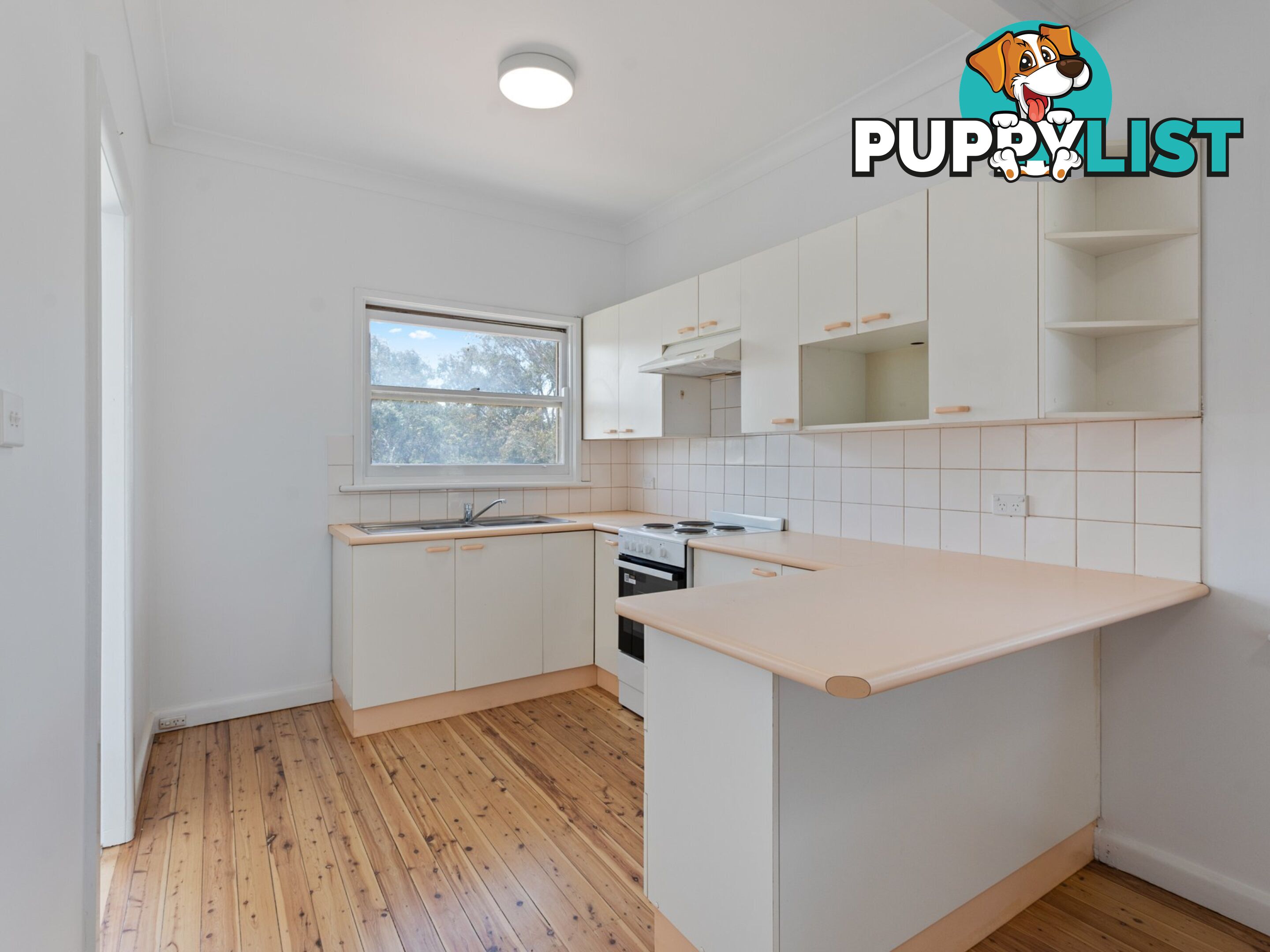 41A Rawlinson Street BEGA NSW 2550