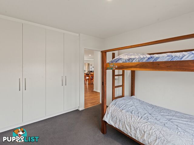 86 Rawlinson Street BEGA NSW 2550