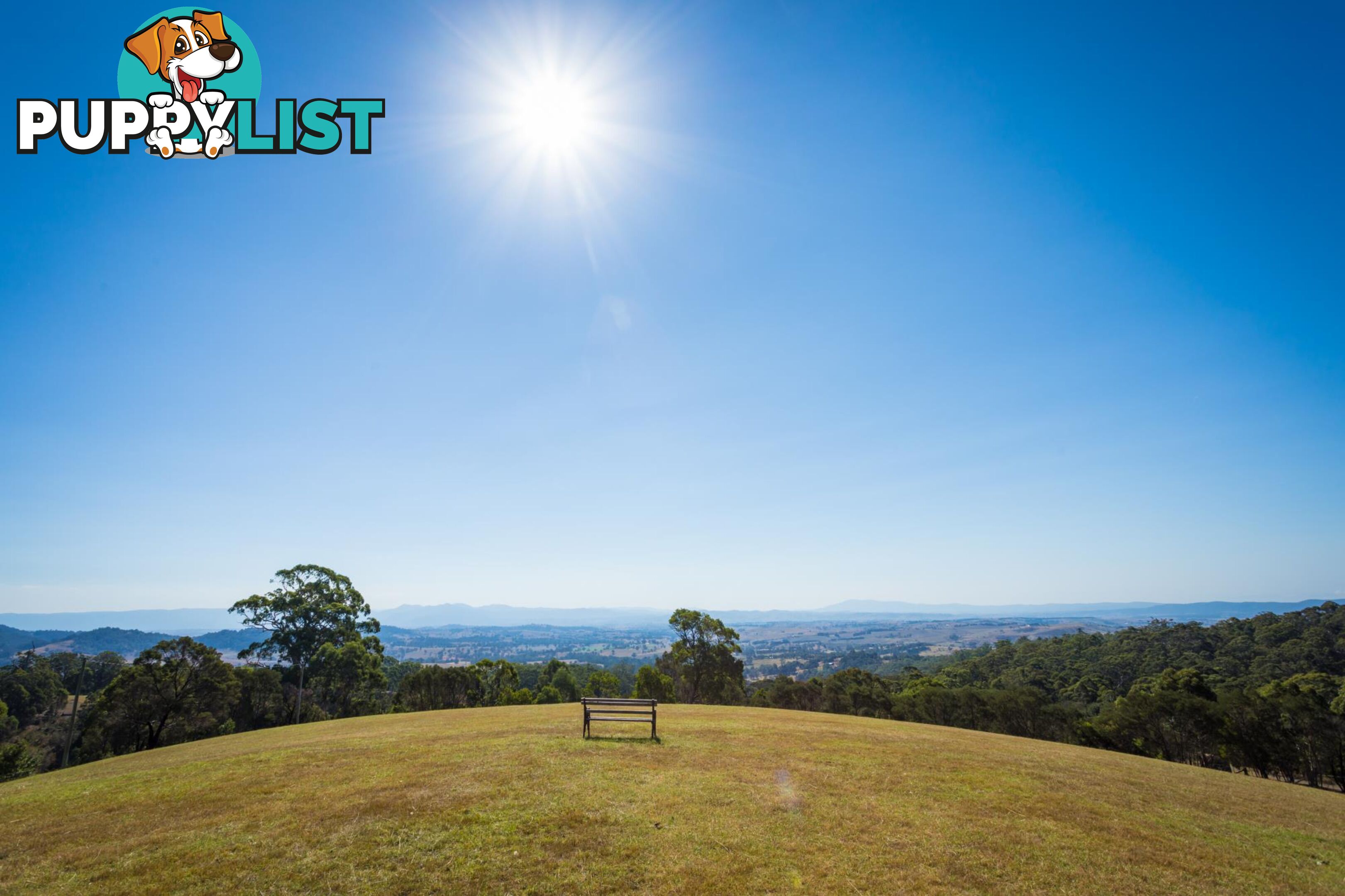 Lot 1339 Radium Ridge Road CANDELO NSW 2550