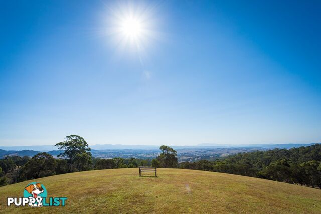 Lot 1339 Radium Ridge Road CANDELO NSW 2550