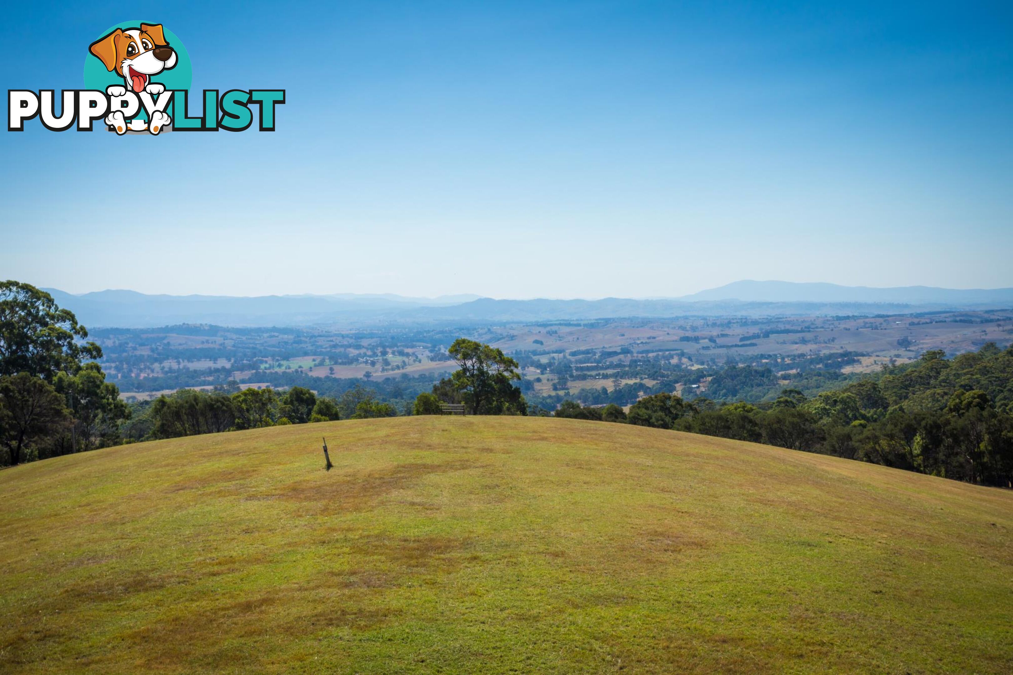 Lot 1339 Radium Ridge Road CANDELO NSW 2550