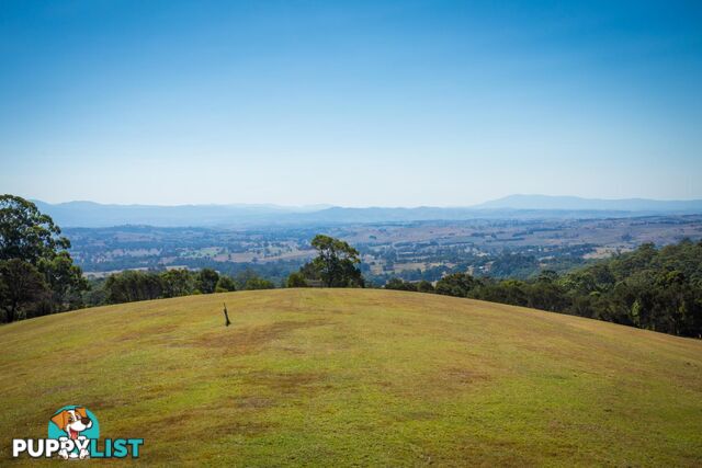 Lot 1339 Radium Ridge Road CANDELO NSW 2550