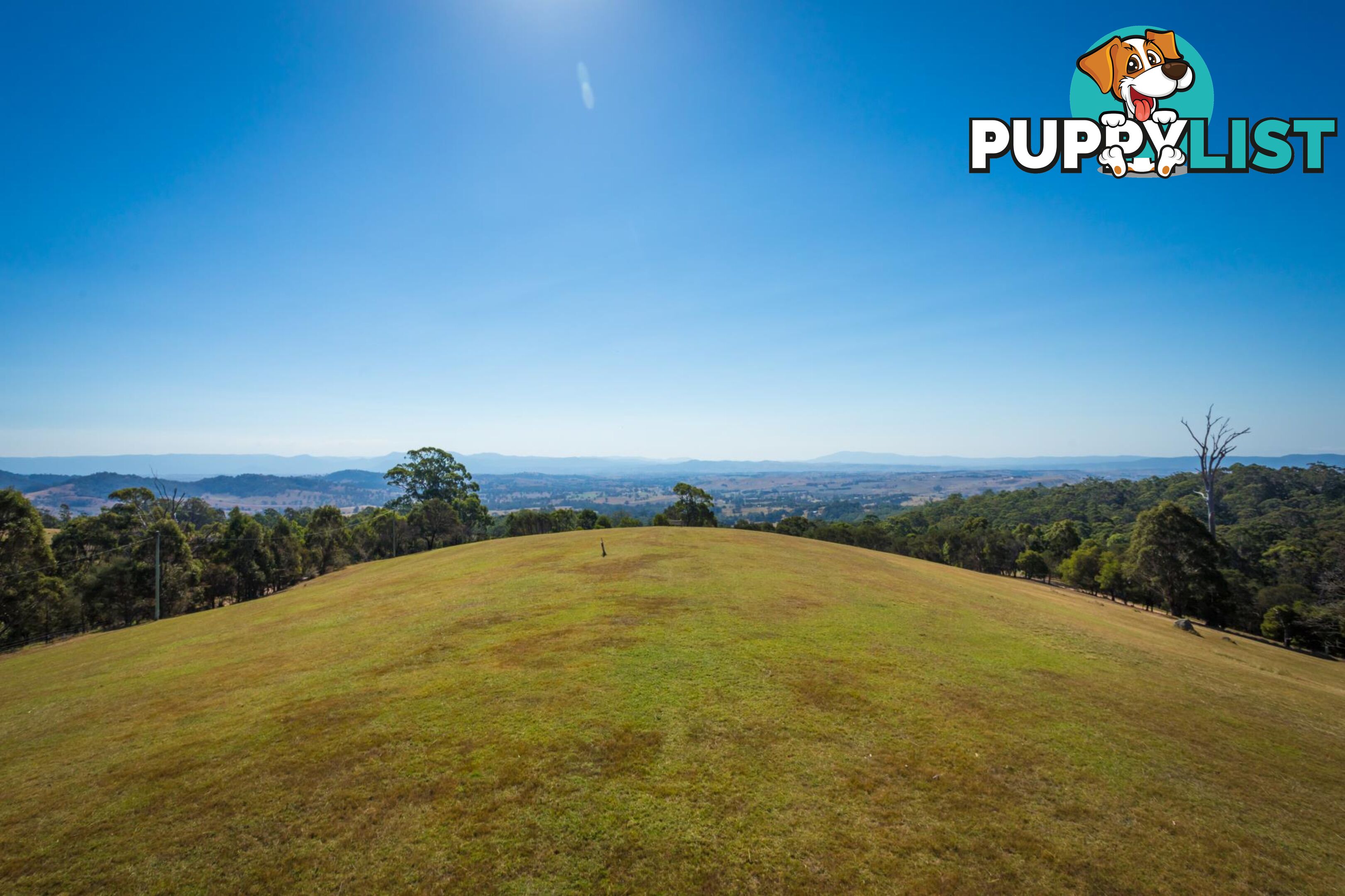 Lot 1339 Radium Ridge Road CANDELO NSW 2550