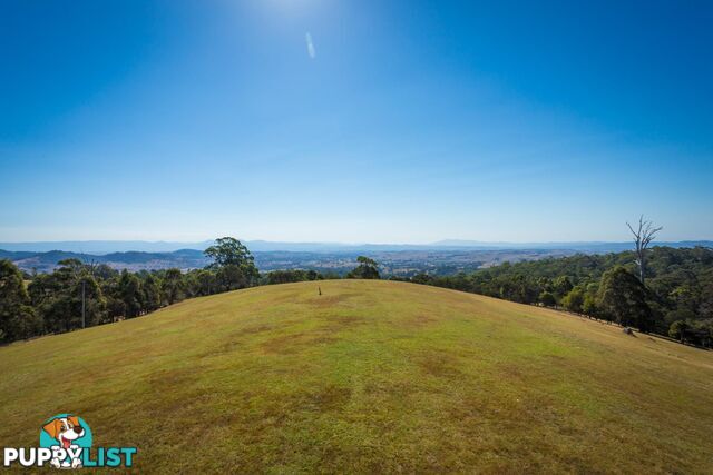 Lot 1339 Radium Ridge Road CANDELO NSW 2550