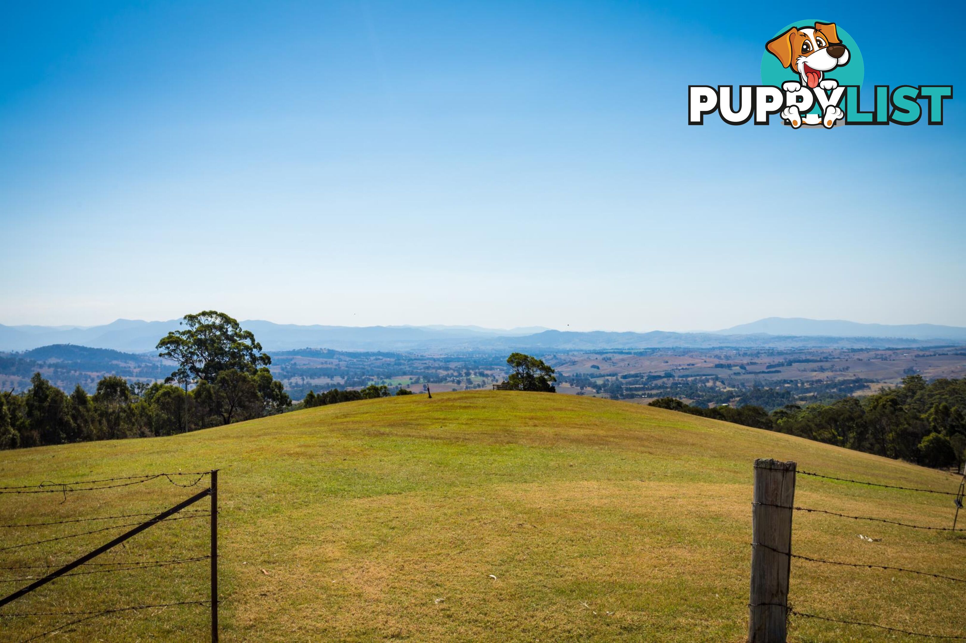 Lot 1339 Radium Ridge Road CANDELO NSW 2550