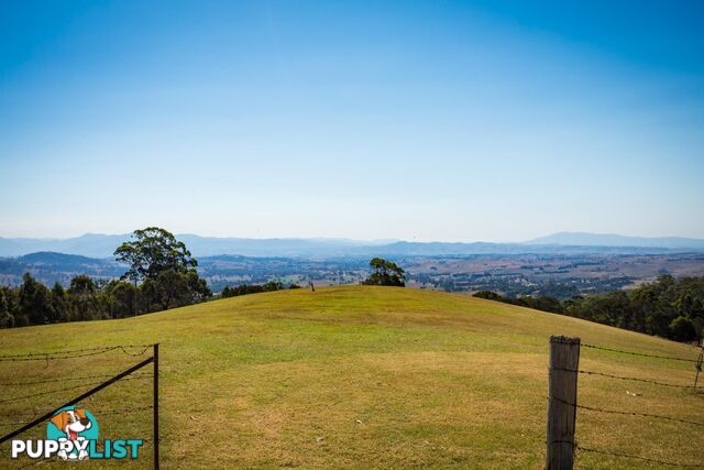 Lot 1339 Radium Ridge Road CANDELO NSW 2550