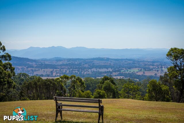 Lot 1339 Radium Ridge Road CANDELO NSW 2550