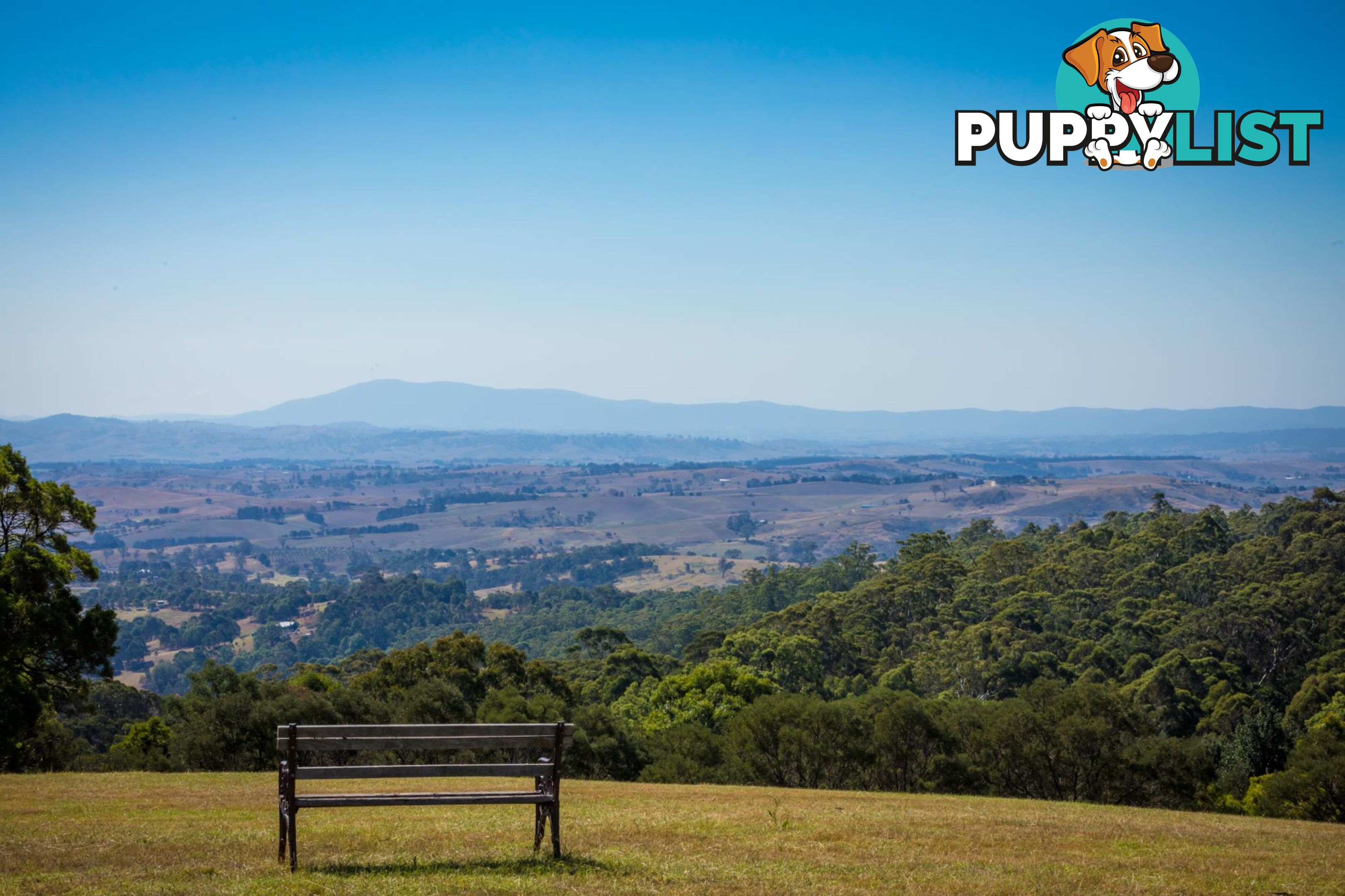 Lot 1339 Radium Ridge Road CANDELO NSW 2550