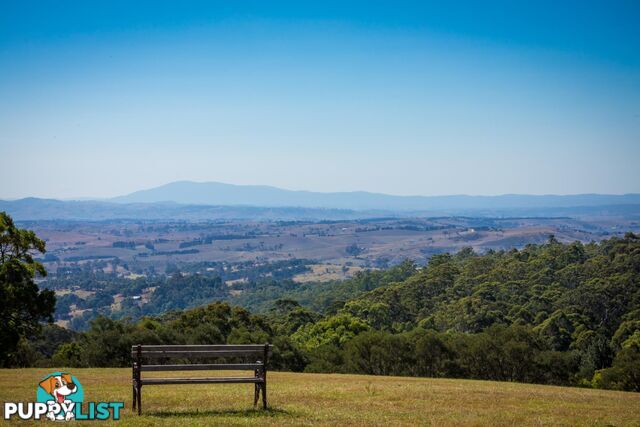 Lot 1339 Radium Ridge Road CANDELO NSW 2550