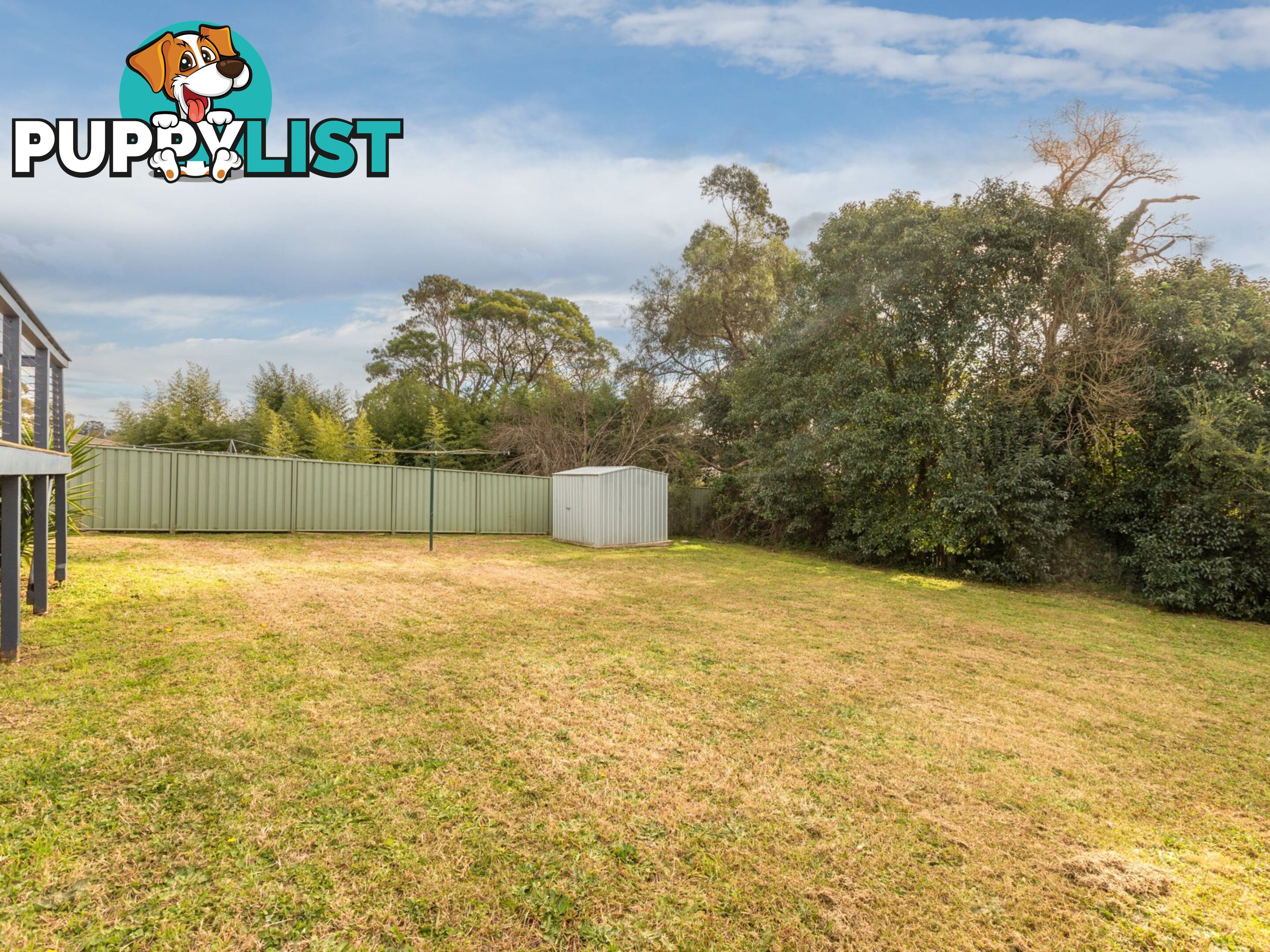 51 Howard Avenue BEGA NSW 2550