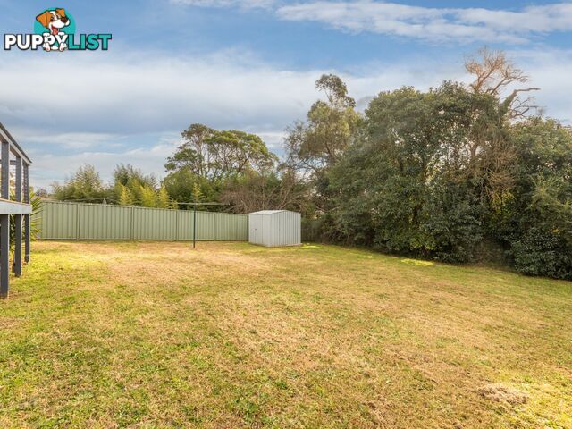 51 Howard Avenue BEGA NSW 2550