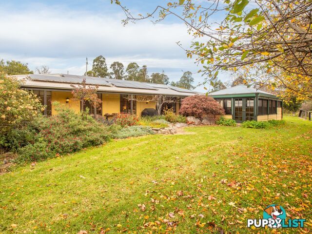 280 Daisy Hill Road BEGA NSW 2550