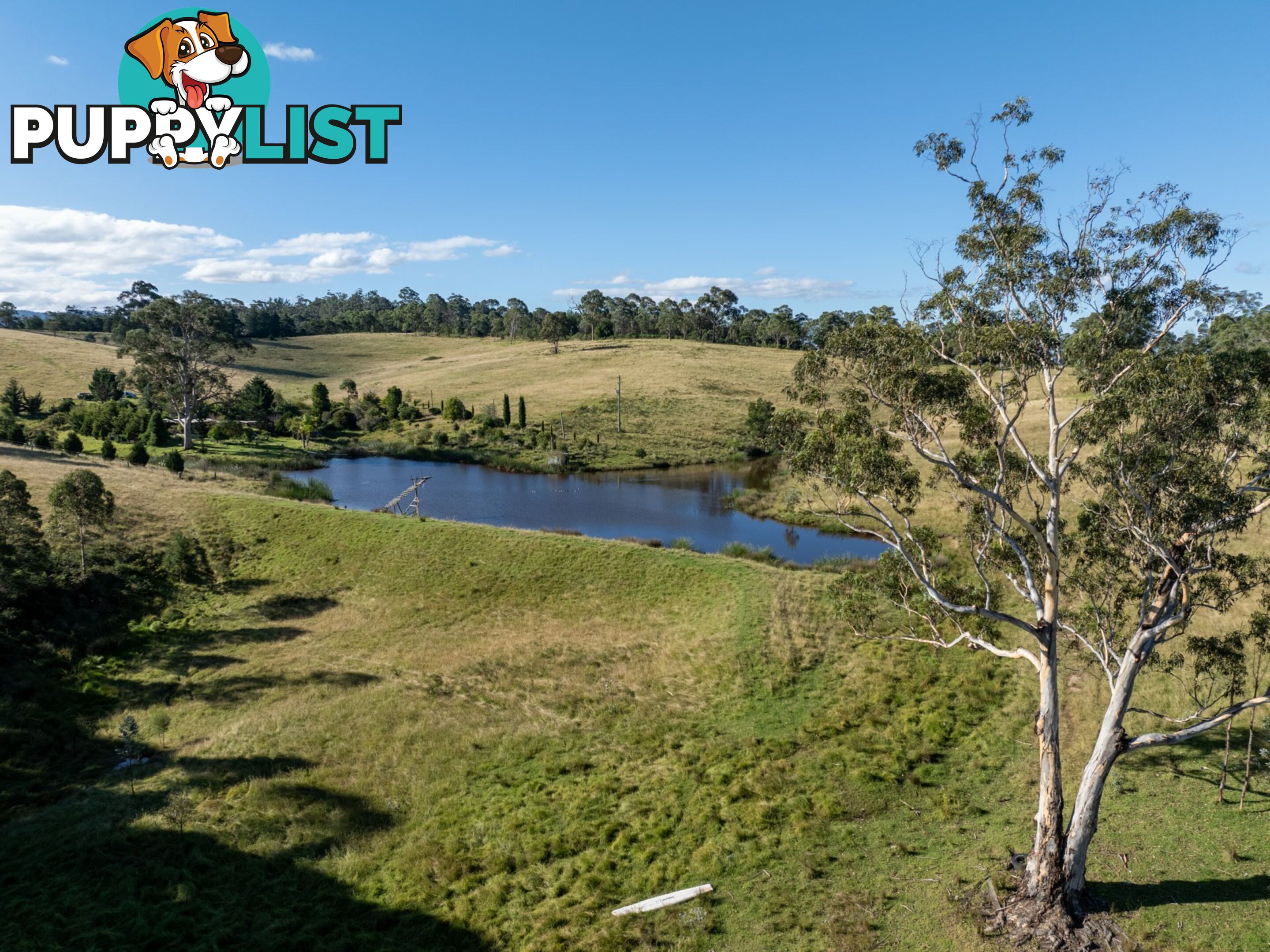 50 Stockridge Road BROGO NSW 2550