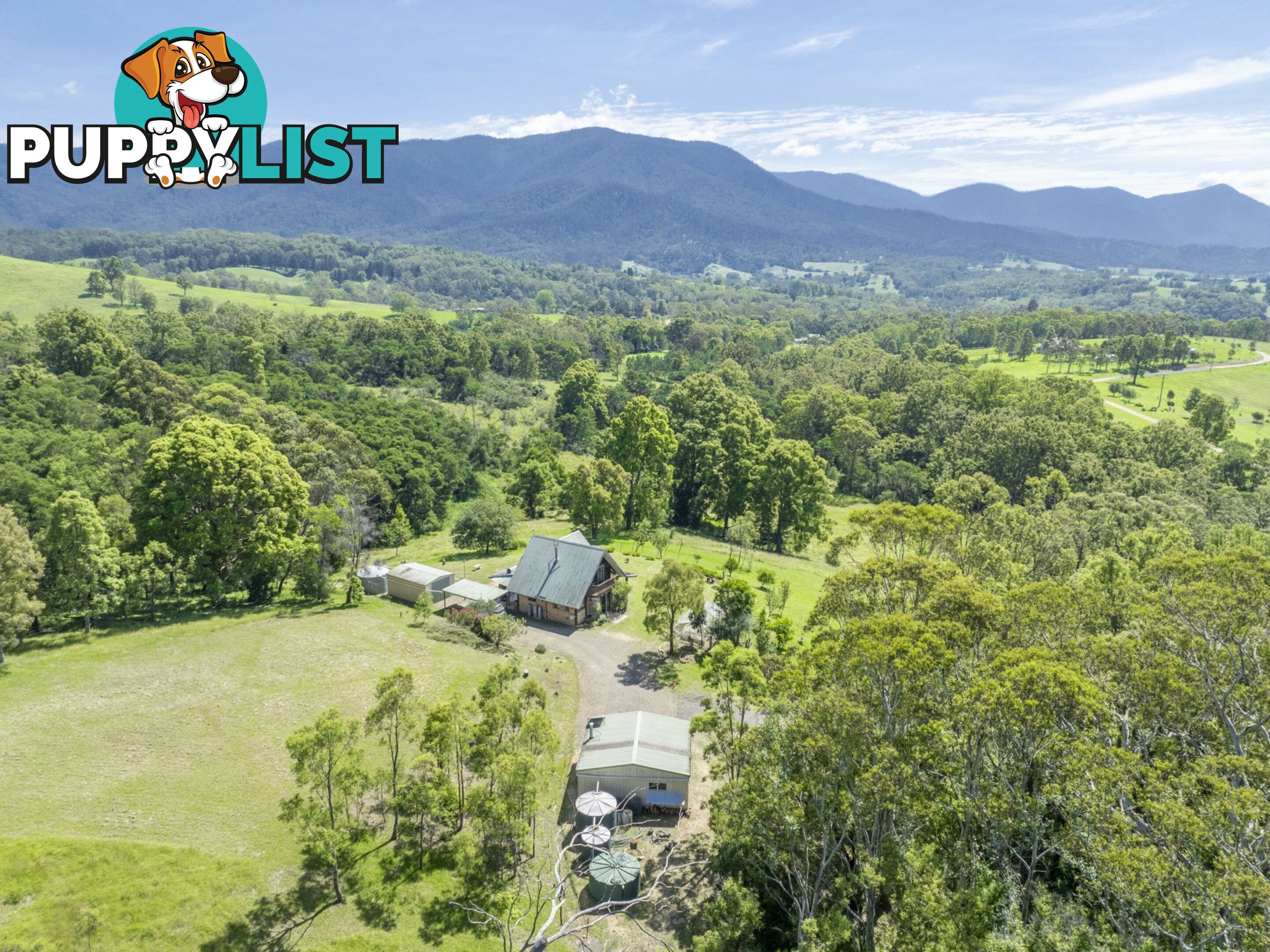 52 Buckleys Ridge Road BEMBOKA NSW 2550