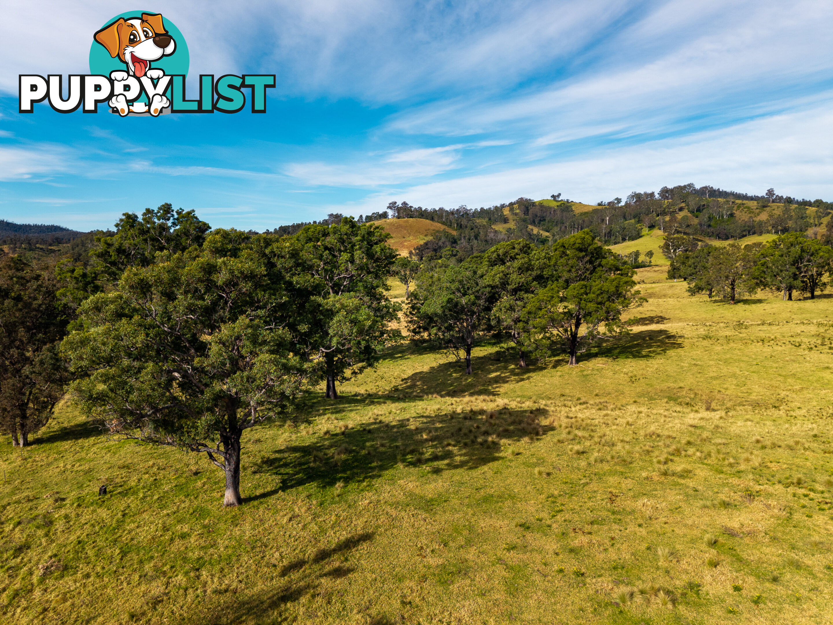 Lot 63 Watts Road COBARGO NSW 2550