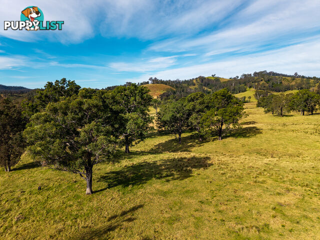 Lot 63 Watts Road COBARGO NSW 2550