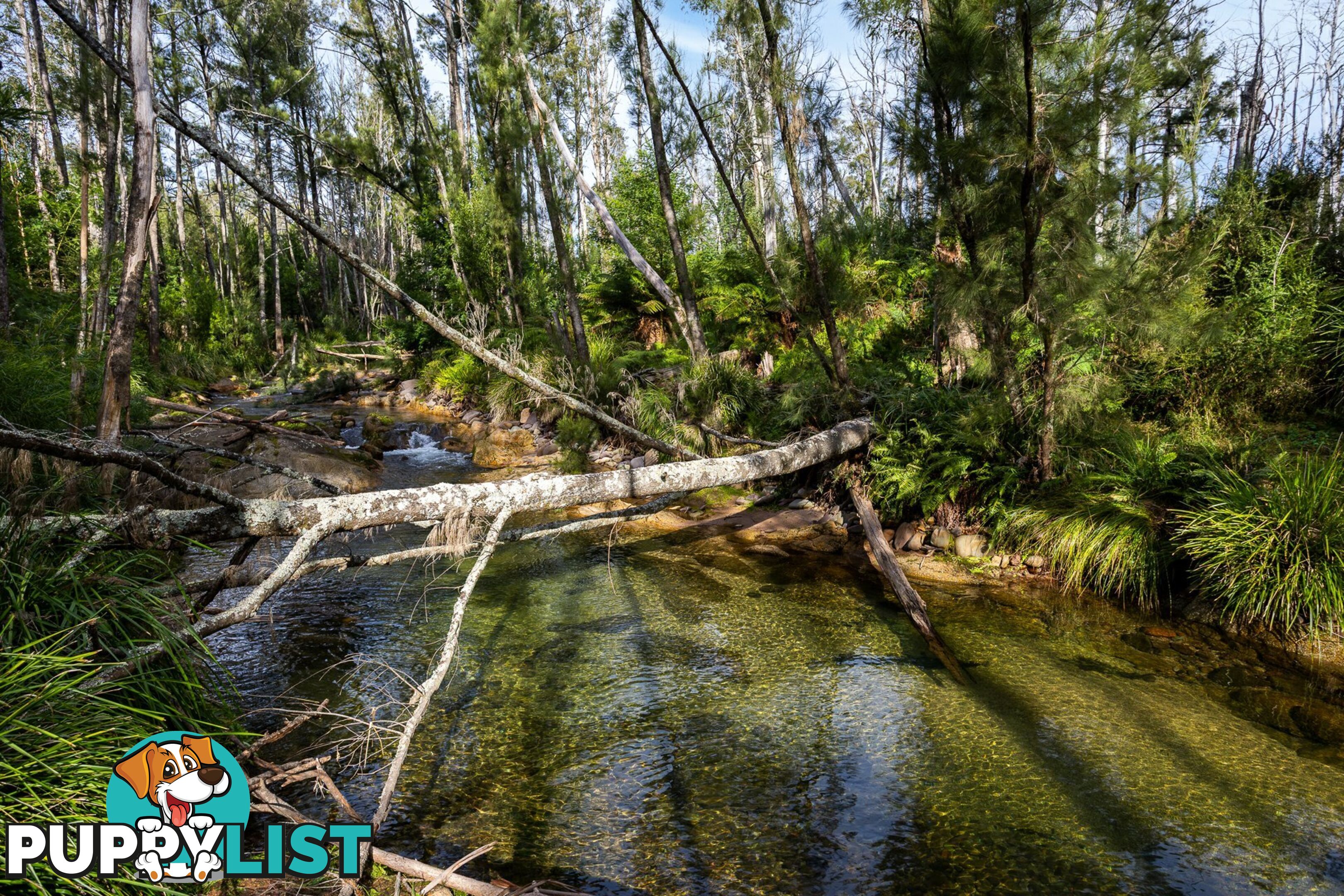 Lot 63 Watts Road COBARGO NSW 2550
