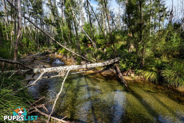 Lot 63 Watts Road COBARGO NSW 2550