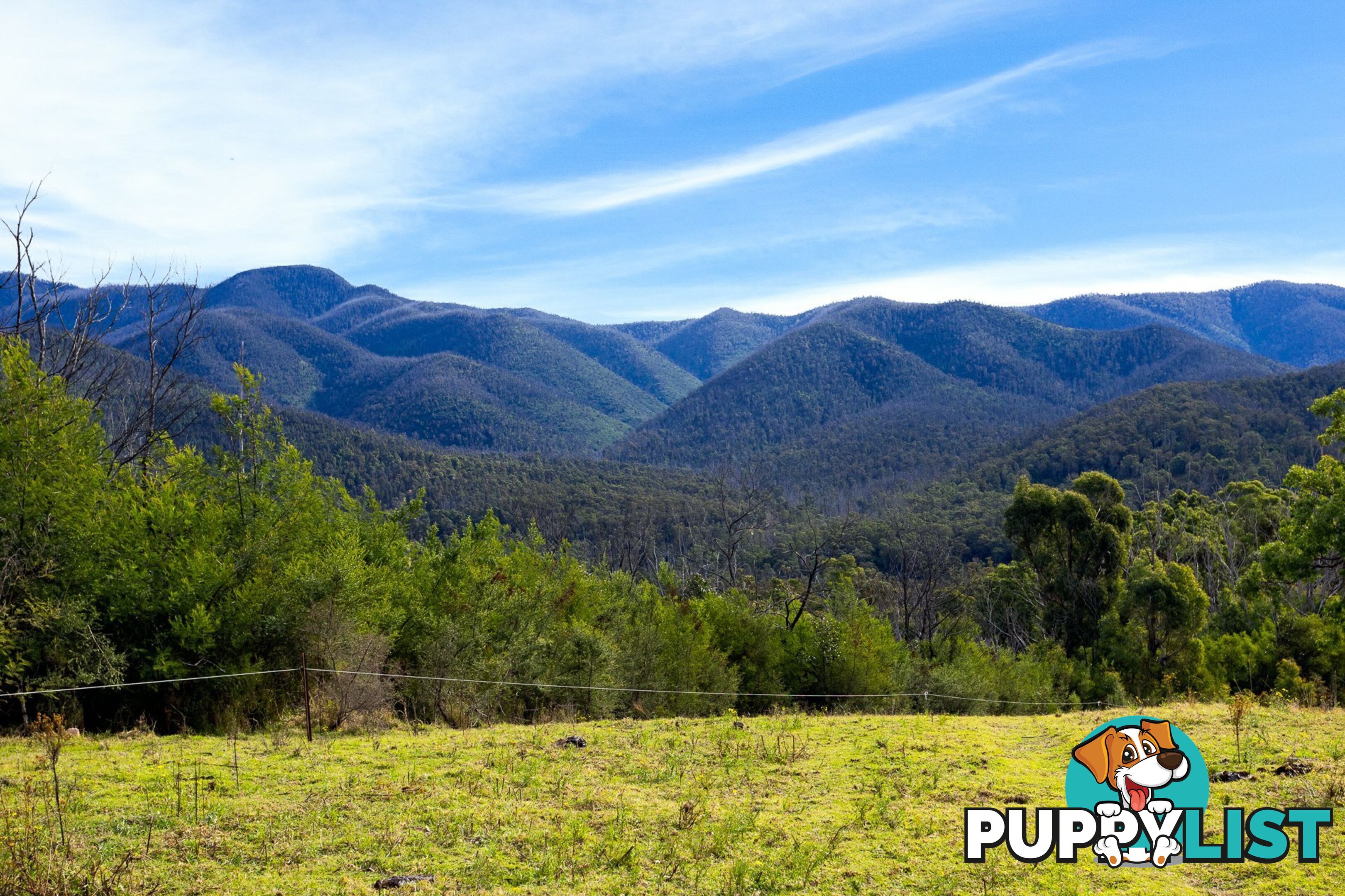 Lot 63 Watts Road COBARGO NSW 2550