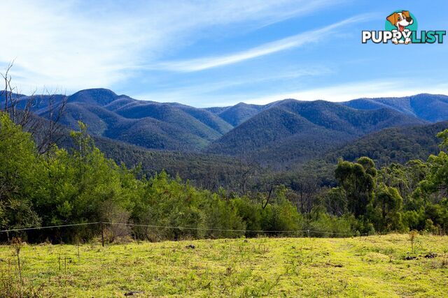Lot 63 Watts Road COBARGO NSW 2550