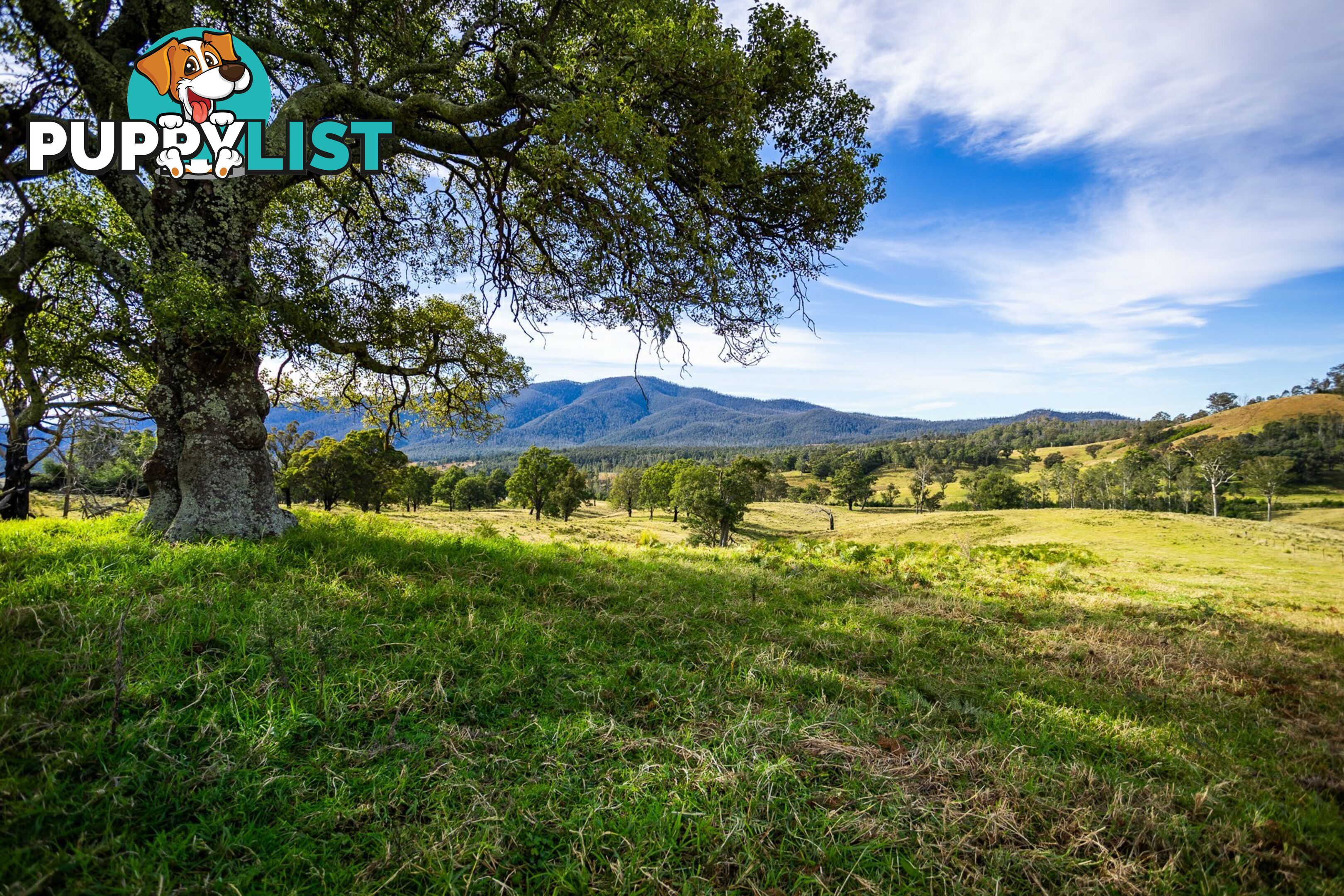 Lot 63 Watts Road COBARGO NSW 2550