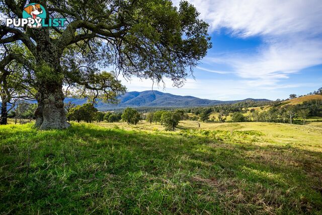 Lot 63 Watts Road COBARGO NSW 2550